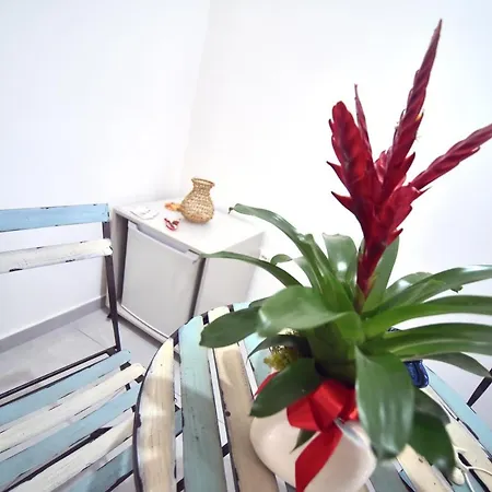 La Nassa Bed and breakfast 3*