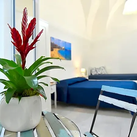 Bed & Breakfast La Nassa 3*